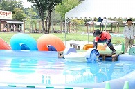 小岩井農場