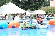 小岩井農場