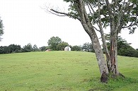 小岩井農場