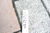 花茄子