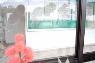 赤い花