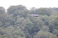 奥入瀬渓流(青森)