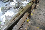 奥入瀬渓流(銚子大滝)