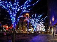 イルミネーション