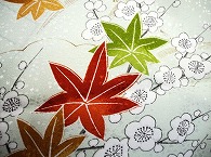 布(大島紬)