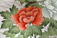 布(小紋)