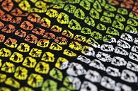 布(絞り)