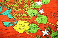 布(小紋)