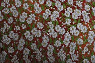 布(小紋)