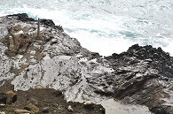 ハナウマ湾
