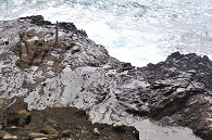 ハナウマ湾