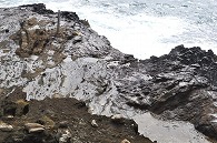 ハナウマ湾