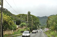 店