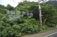 ハワイ