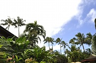 ポリネシア文化センター(ハワイ)