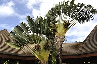 ポリネシア文化センター(ハワイ)