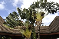ポリネシア文化センター(ハワイ)